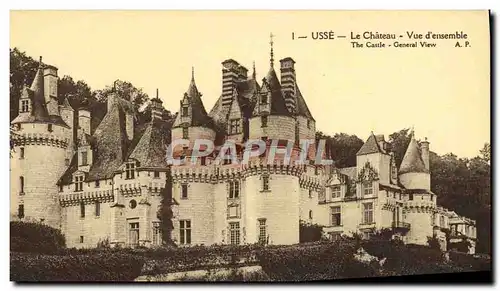 Cartes postales Usse Le Chateau Vue d&#39ensemble