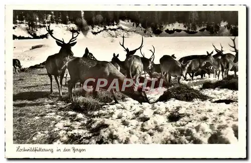 Cartes postales Rennes In Der Bergan