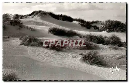 Cartes postales Littoral Nord Les Dunes