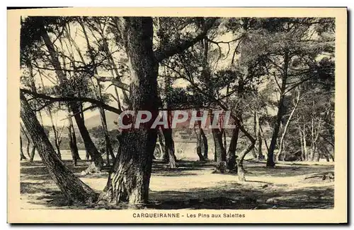 Cartes postales Carqueiranne Les Pins Aux Salettes