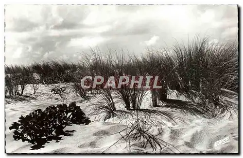 Cartes postales moderne Soir D'Orage Sur La Dune