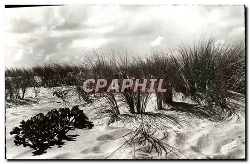 Cartes postales moderne Soir D&#39Orage Sur La Dune