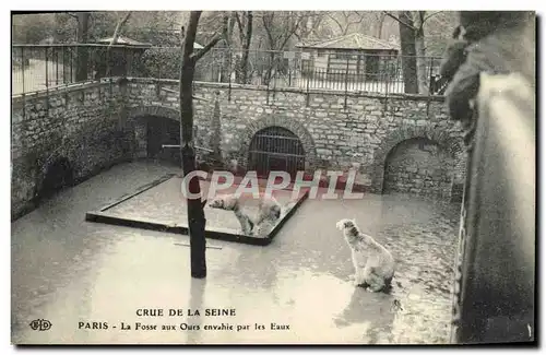 Cartes postales Crue De La Seine Paris La Fosse Aux Ours Envahie Par Les Eaux Zoo