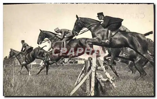 Cartes postales moderne Militaria Ecole de Saumur Entrainement des eleves Chevaux