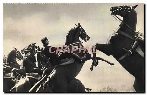 Cartes postales moderne Militaria Les ecuyers du Cadre Noir Chevaux