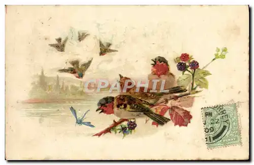 Cartes postales Fantaisie Oiseaux