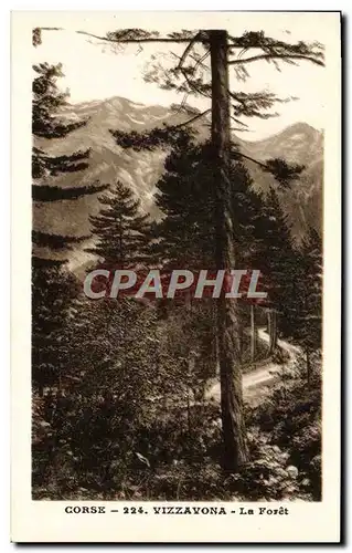 Cartes postales Corse Vizzavona La Foret