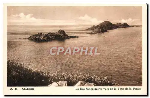 Cartes postales Ajaccio Les Iles Sanguinaires Vues de la Tour de la Perata