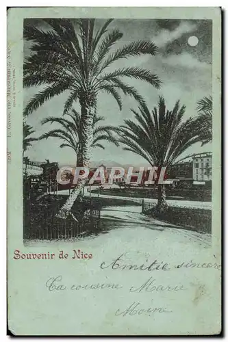 Cartes postales Souvenir de Nice Palmier