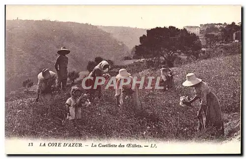 Ansichtskarte AK La Cote d&#39Azur La Cueillette des Oeillets