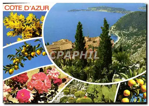 Cartes postales moderne Cote d&#39Azur