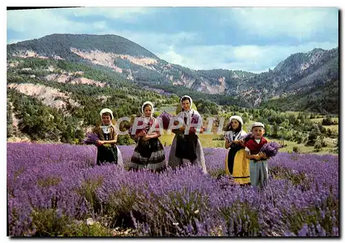 Cartes postales moderne Les Sites Merveilleux de la Cote d&#39Azur La Cueillette de la Lavandre Folklore