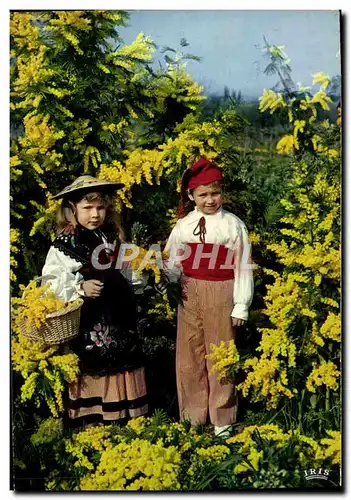 Cartes postales moderne La Cote d&#39Azur Dans les Mimosas Enfants