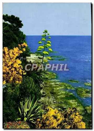 Cartes postales moderne Cote d'Azur