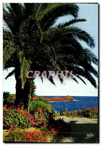 Cartes postales moderne La Cote d&#39Azur Jardin Fleuri au Bord du Rivage