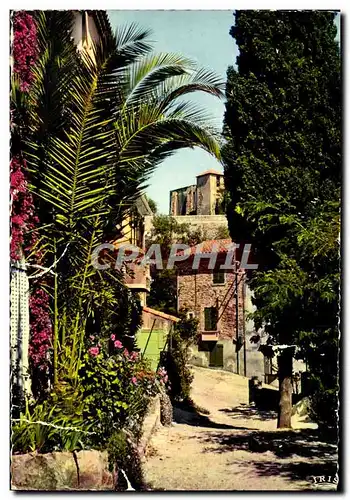 Cartes postales moderne La Cote D&#39Azur Vieux village Provence