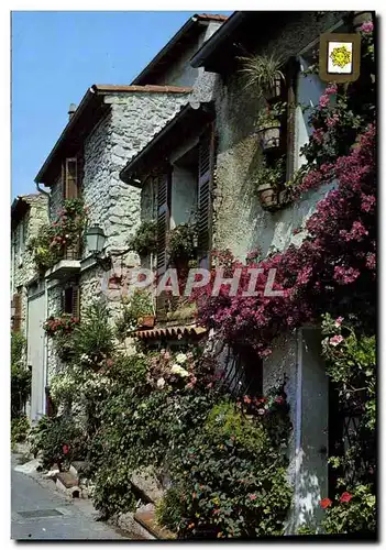 Cartes postales moderne La Cote D'Azur