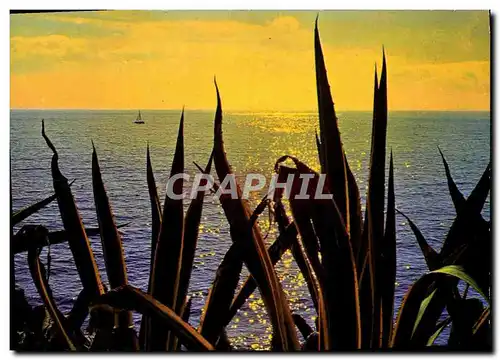 Cartes postales moderne Cote D&#39Azur Coucher de soleil