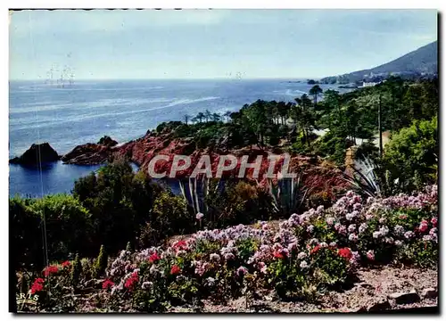 Cartes postales moderne Reflets De La Cote d&#39Azur La Cote Mediterraneenne