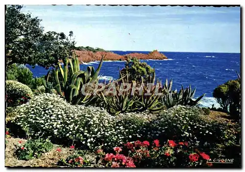 Cartes postales moderne Reflets De La Cote d'Azur Sur Les Bords de la Grande Bleue