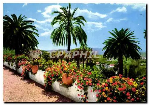 Cartes postales moderne Cote D&#39Azur Et Provence Sa Vegetation