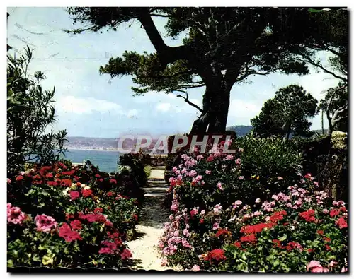 Cartes postales moderne Jardins fleuris