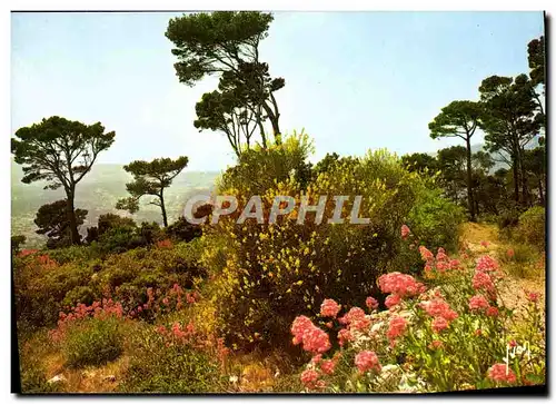 Cartes postales moderne Cote D'Azur