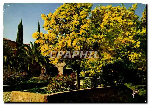 Cartes postales moderne Cote D'Azur Parure doree