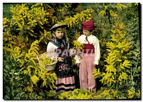 Cartes postales moderne Cote D&#39Azur Dans Le Mimosas Enfants