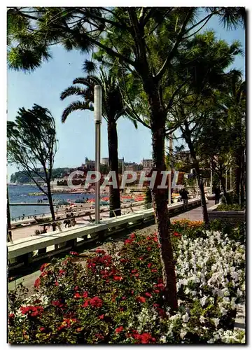 Cartes postales moderne Cote D'Azur Monte Carlo Les parterres fleuris de l'avnue Princesse Grace