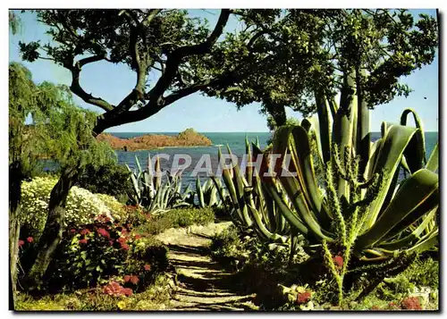 Cartes postales moderne Reflets De La Cote D&#39Azur