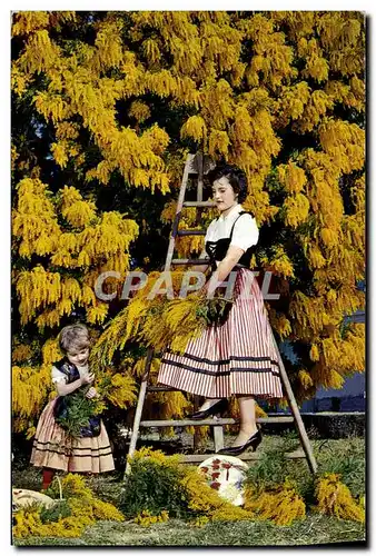 Moderne Karte Cueillette Du Mimosa Folklore Femme Enfant