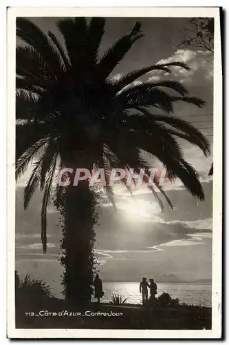 Cartes postales moderne La Cote D&#39Azur Contre jour Palmier