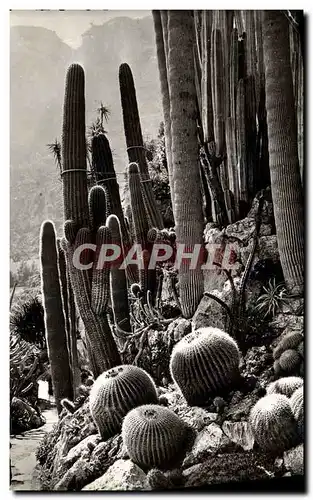 Moderne Karte La Cote D&#39Azur Les Jardins Exotiques Cactus