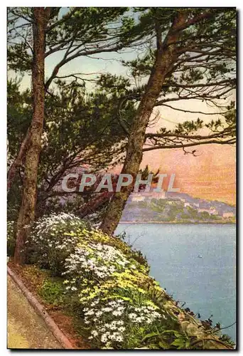 Ansichtskarte AK Flore Artistique Au Bord de la Mer