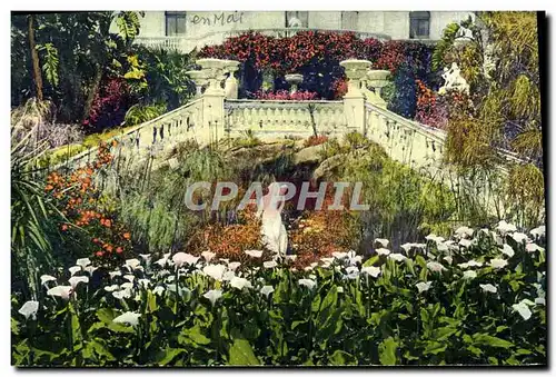 Ansichtskarte AK La Cote D&#39Azur Un Coin De Jardin Fleuri