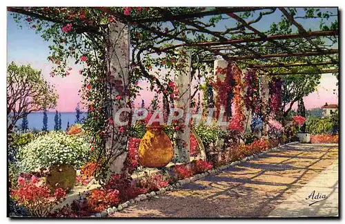 Ansichtskarte AK La Cote D&#39Azur Pergola Fleurie