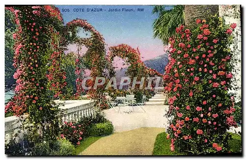 Cartes postales Cote D&#39Azur Jardin Fleuri