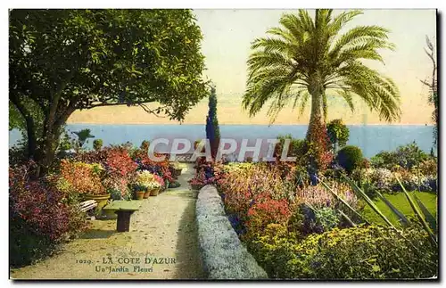 Cartes postales Cote D&#39Azur Jardin Fleuri