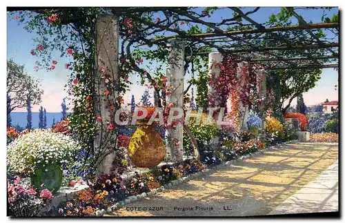 Cartes postales La Cote D&#39Azur Pergola fleurie