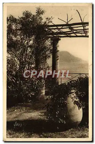 Cartes postales Cote d'Azur Tete de chien vue a travers une Pergola