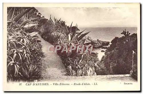 Cartes postales Antibes Villa Eilenroc Etude d&#39Aloes