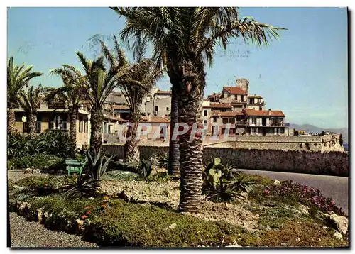 Cartes postales moderne Antibes La Vieille Ville Les Jardins et les Remparts