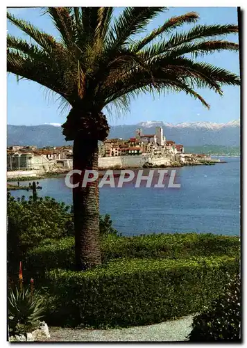 Cartes postales Antibes Cote D&#39Azur French Riviera