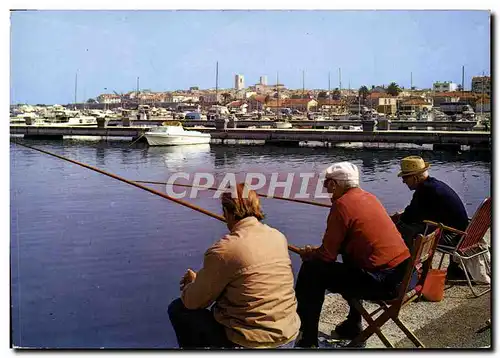 Cartes postales moderne Antibes Vue Generale Prise d&#39un Coin Du Nouveau Port Peche Pecheur