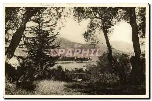 Cartes postales moderne Beaulieu Vue Entre les Oliviers