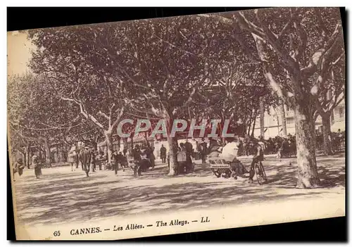 Cartes postales Cannes Les Allees