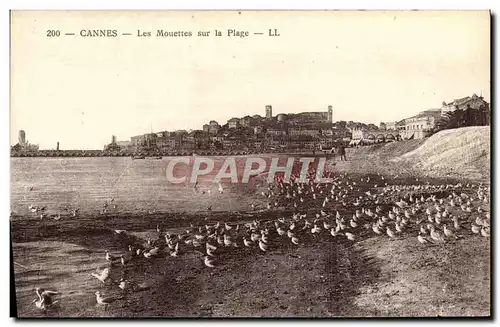 Ansichtskarte AK Cannes Les Mouettes sur la Plage