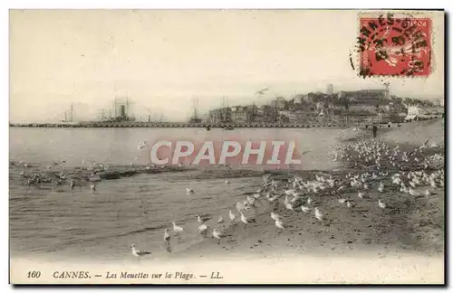 Ansichtskarte AK Cannes Les Mouettes Sur la Plage