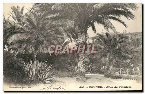 Ansichtskarte AK Cannes Allee De Palmiers